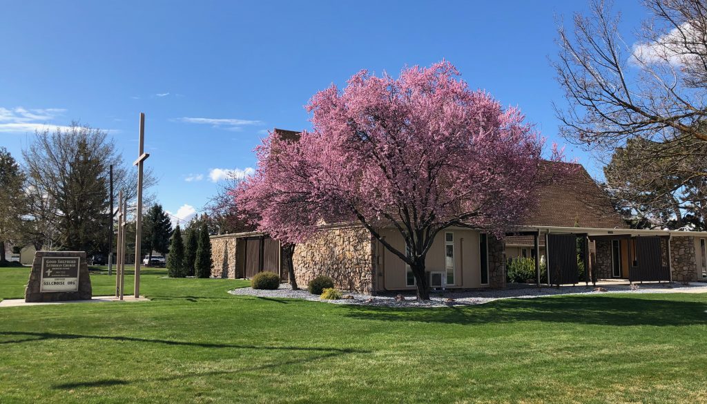 Good Shepherd Lutheran Church